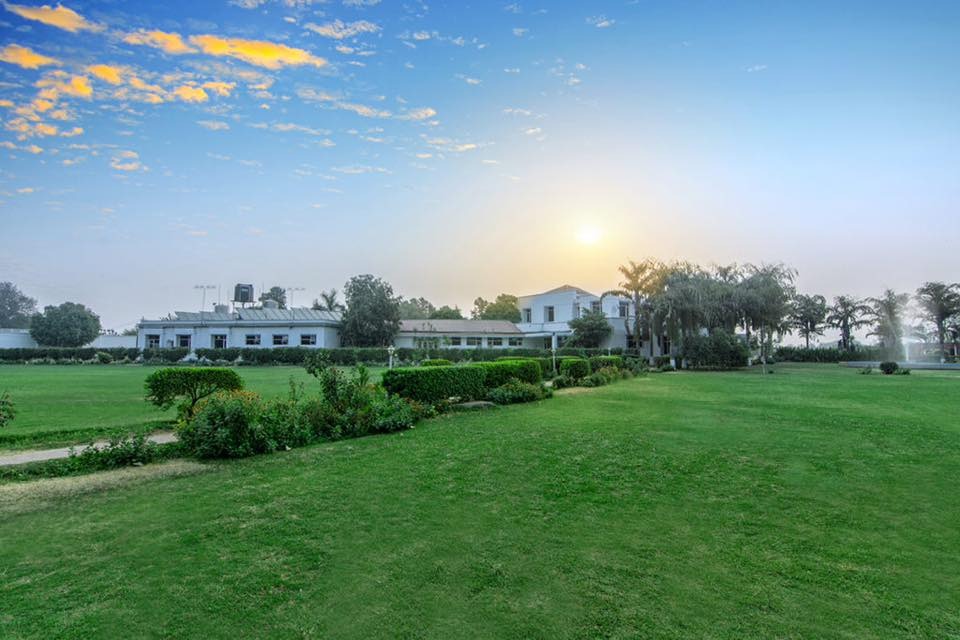 Sanjeevani Kaya Image