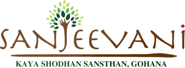 logo-image